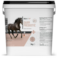 Darm Prebiotic 3kg