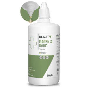 Magen & Darm Tropfen 110ml