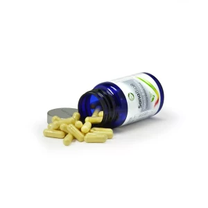 SanaBioB – Vitamin B-Komplex 60 Kapseln á...