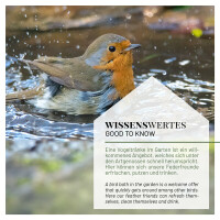 Vogeltränke mit wetterfester Balkonhalterung für Wildvögel