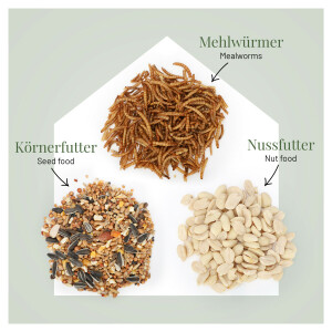 Fenster-Futterhaus Clever mit wetterfestem Acryl und Saugnäpfen